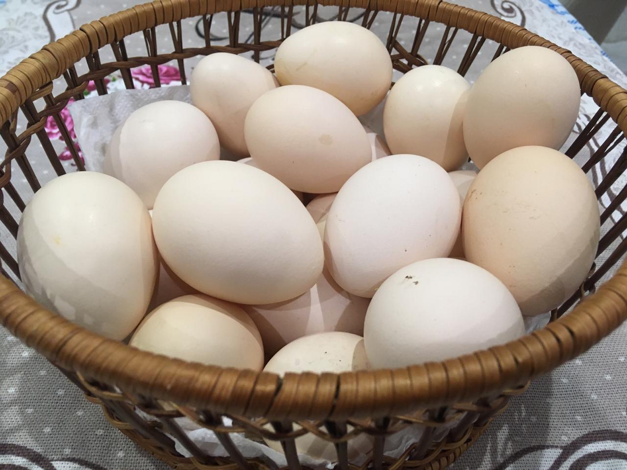 Купить яйцо домашнее куриное в Чехове, Москве и Московской области .